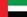 UAE Flag